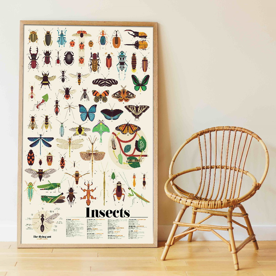 Poster_géant_des_Insectes_44_stickers_Poppik_5