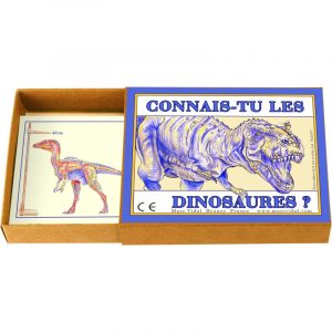 Le_coffret_Connais_tu_les_Dinosaures_de_Marc_Vidal