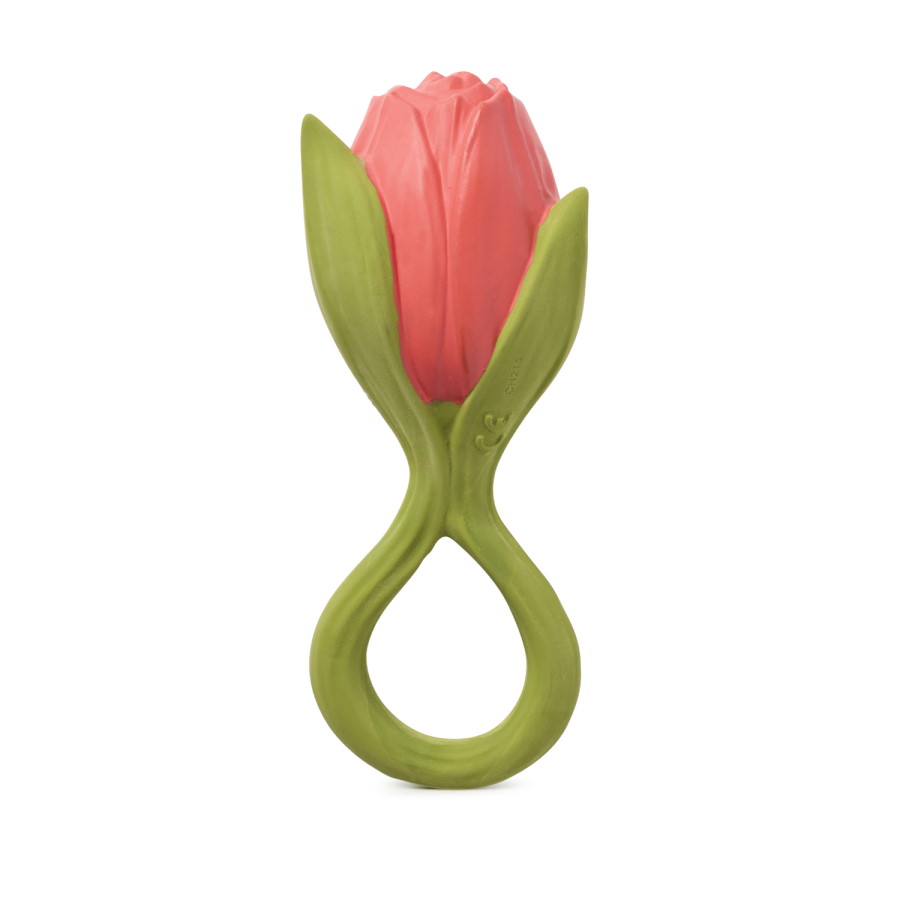 tulipe_oli_carol