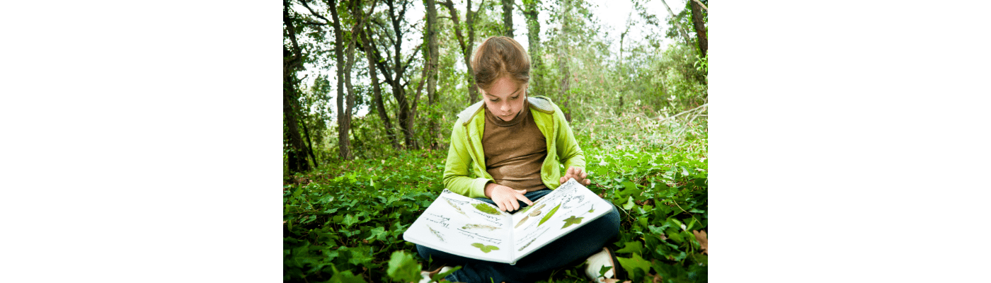 La nature pour les enfants. Comment réaliser un joli herbier ?