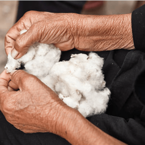 coton-bio-bebe-tetard-et-nenuphar coton-bio-bebe-tetard-et-nenuphar
