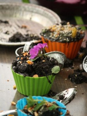 mudkitchen-tetard-et-nenuphar